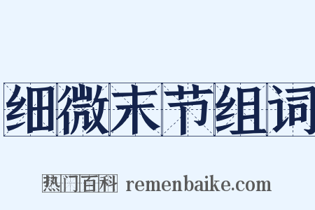 细微末节组词是什么意思的图片